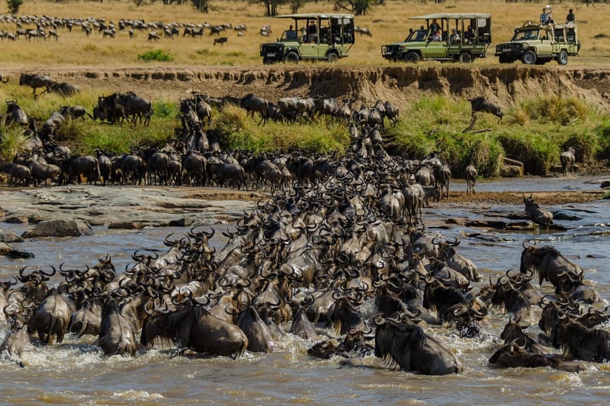 The Great Migration at Serengeti National Park in Tanzania