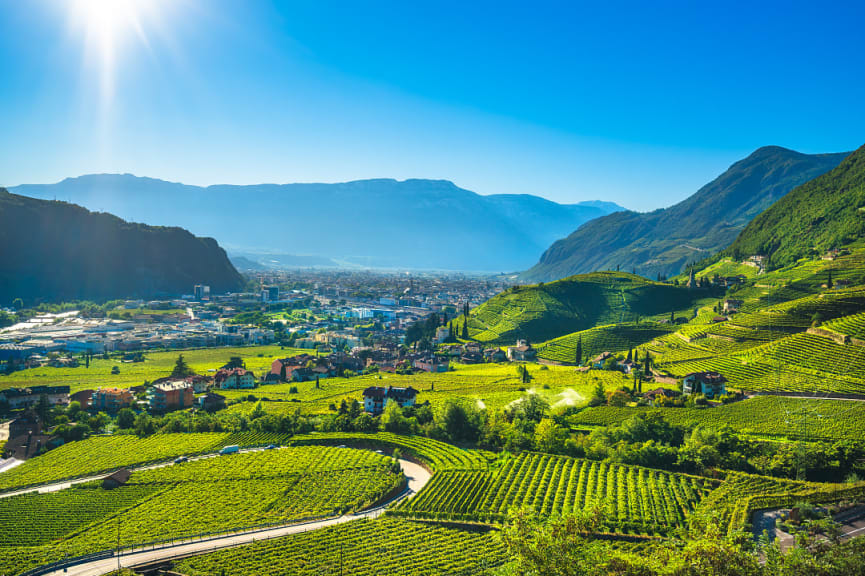 Panoramic view of vineyards in Alto Adige, Italy