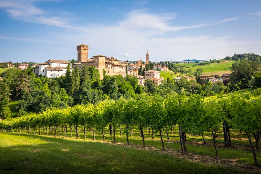 Vineyards in Levizzano Rangone village, nestled in the hills between Modena and Bologna, Emilia Romagna, Italy