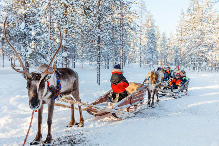 Family with kids on a reindeer safari in Lapland, Finland