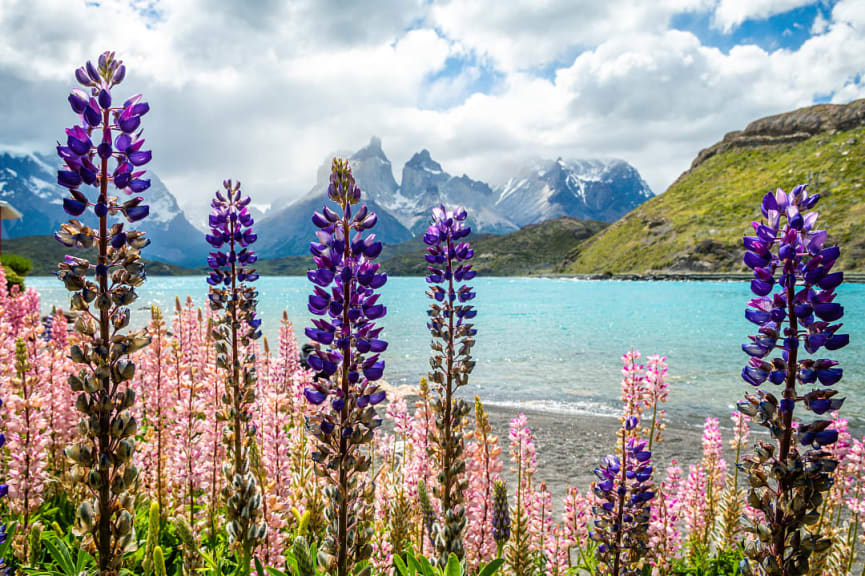 Torres del Paine National Park in Chile