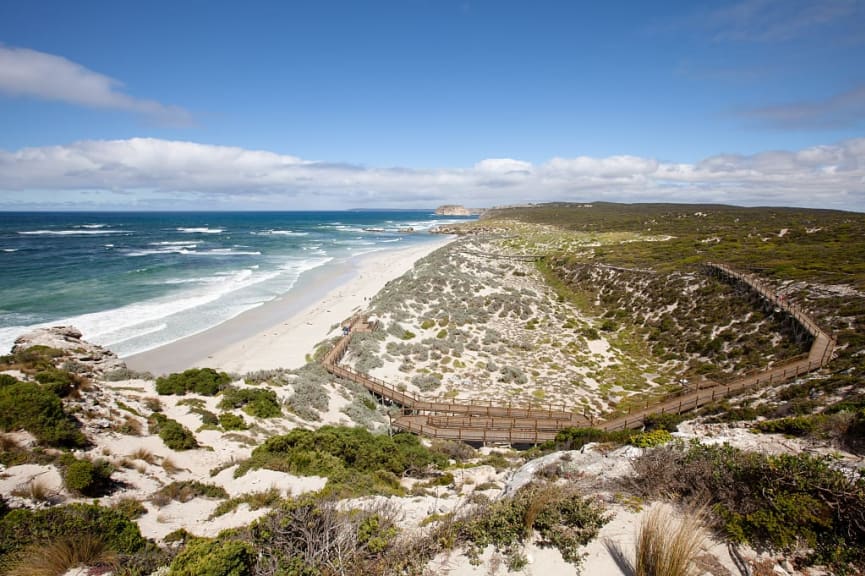 Aerial view of Seal Bay, Kangaroo Island, Australia