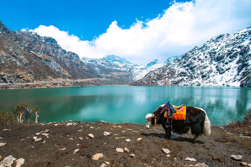 Tsomgo Chho, Sikkim, Himalayas, India