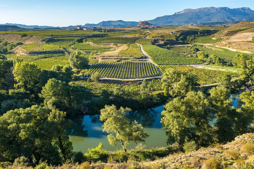 Vineyards in La Rioja, Spain.