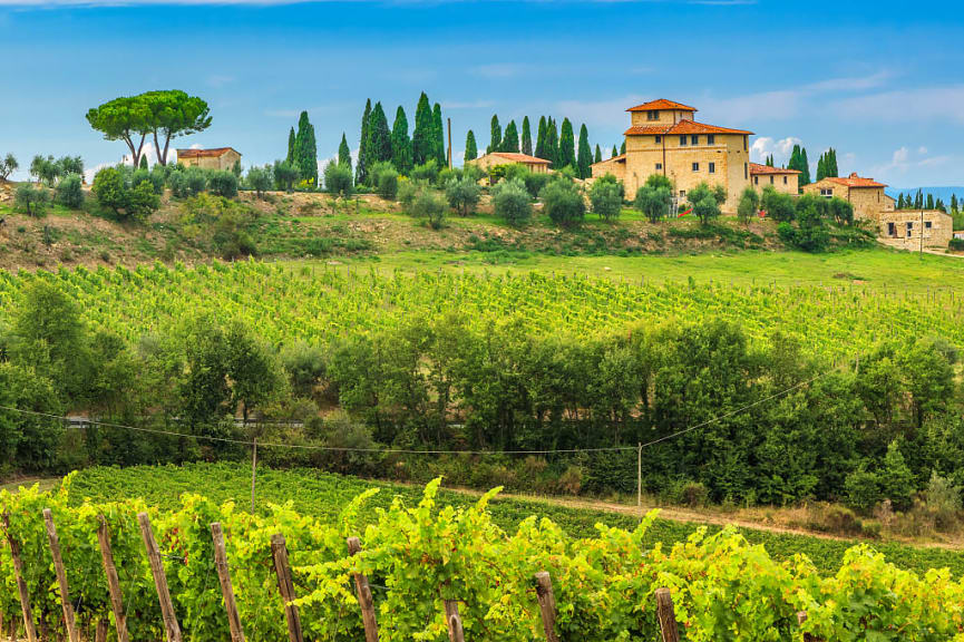 Vineyards in the Chianti wine region of Tuscany