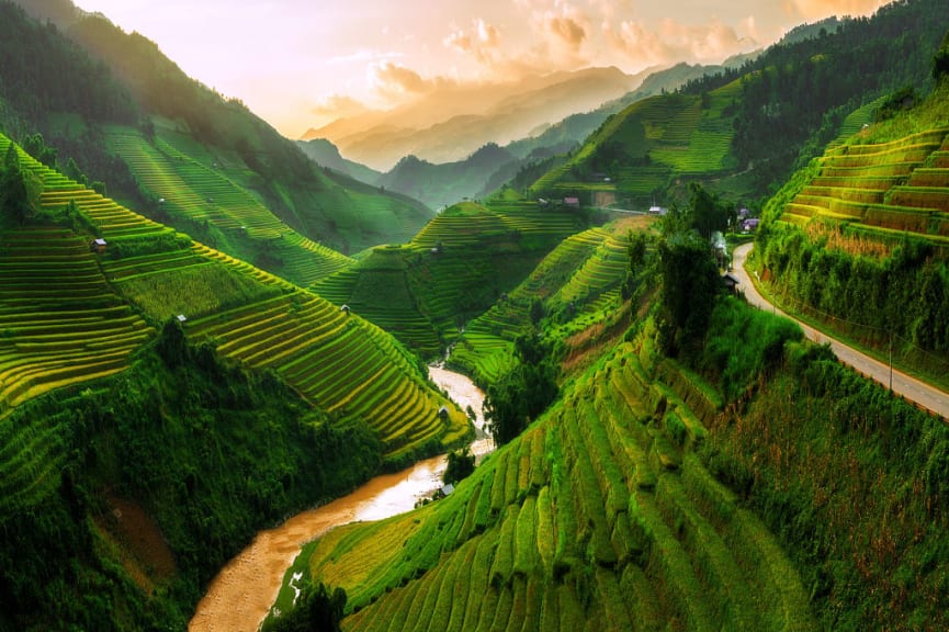 Rice field in Sapa, Vietnam.