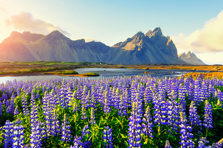 View of the Stokksnes mountains on Vestrahorn Cape, Iceland