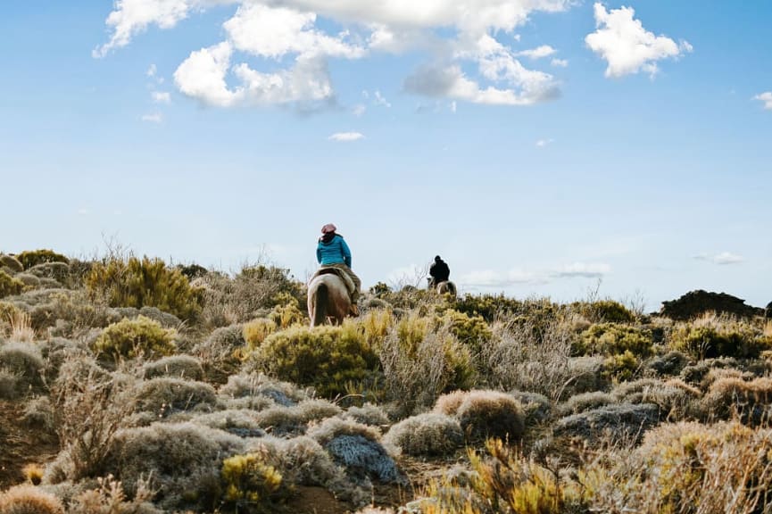 Horseback riding in Patagonia