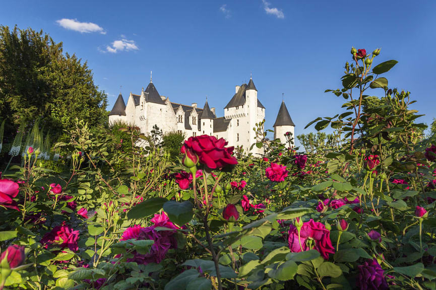 Majestic  Chateau du RIvau surrounded by vibrant pink roses in a lush garden under a clear blue sky