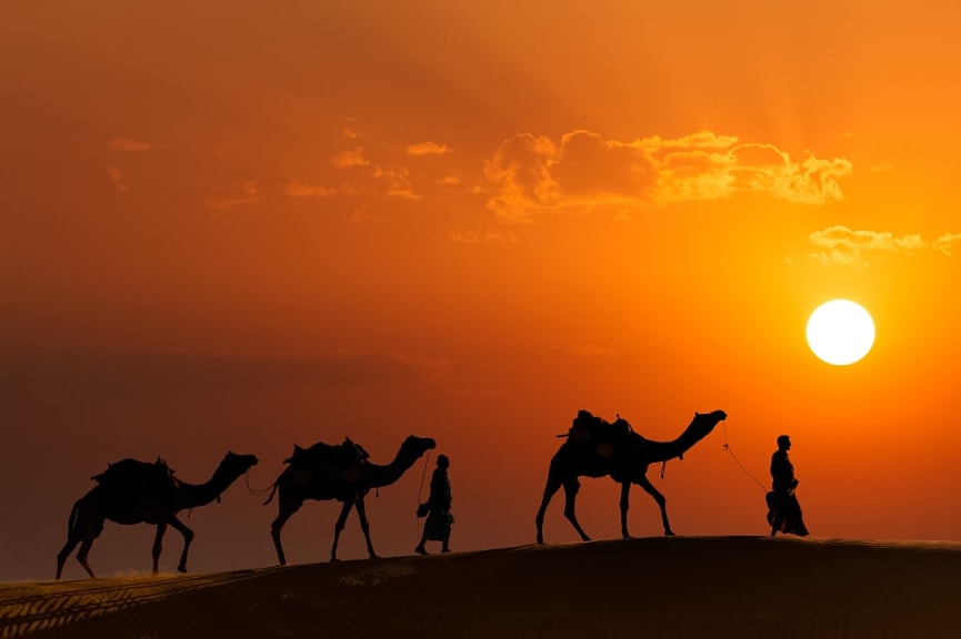 Camel caravan in Thar desert, Jaisalmer, Rajasthan, India