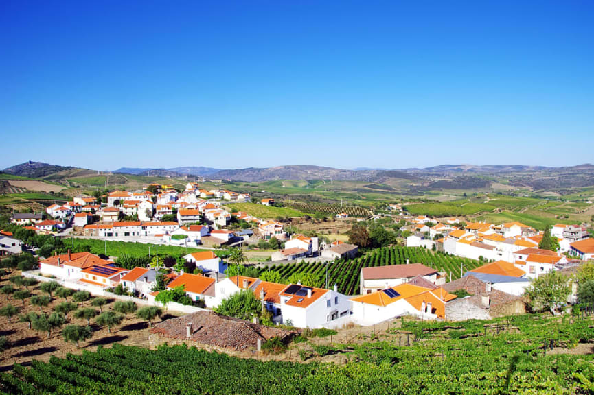 Village and vineyards in the Douro Valley, Portugal