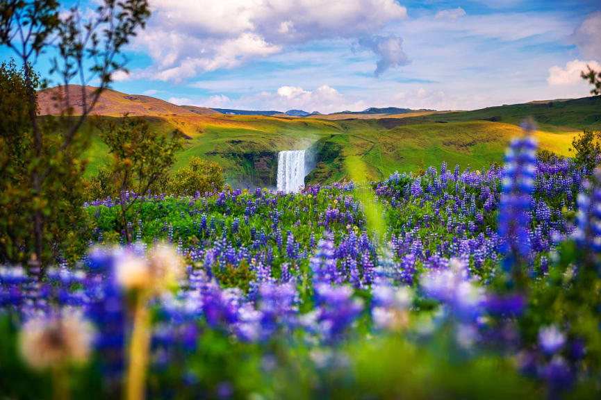 Spring, summer in Iceland