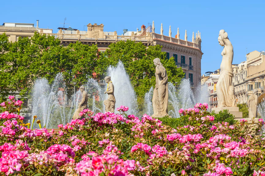 Spring blooms at Plaça de Catalunya in Barcelona, Spain