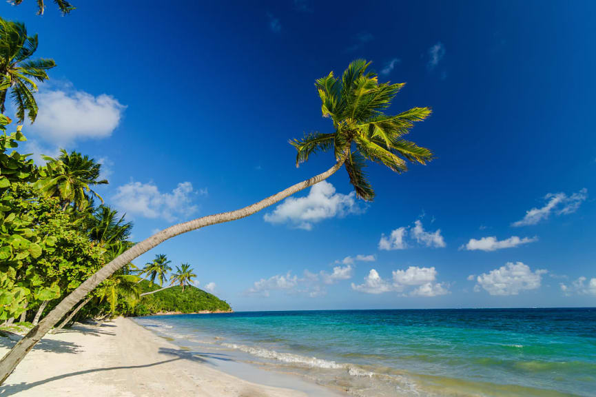 Manchineel Beach on Isla de Providencia, Colombia