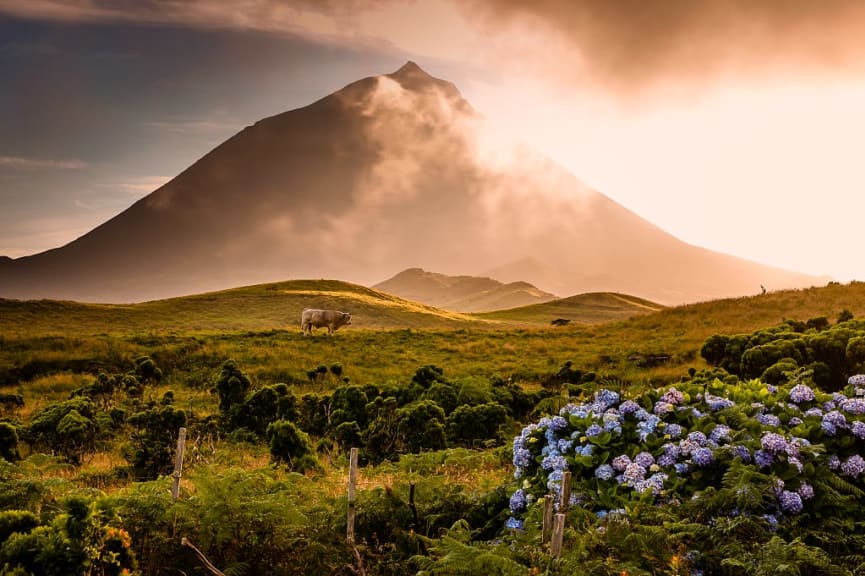 Ponta do Pico, the highest point in Portugal.