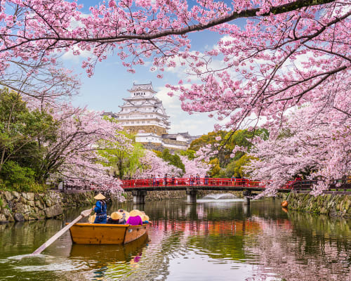 San Francisco Cherry Blossom Festival 2022