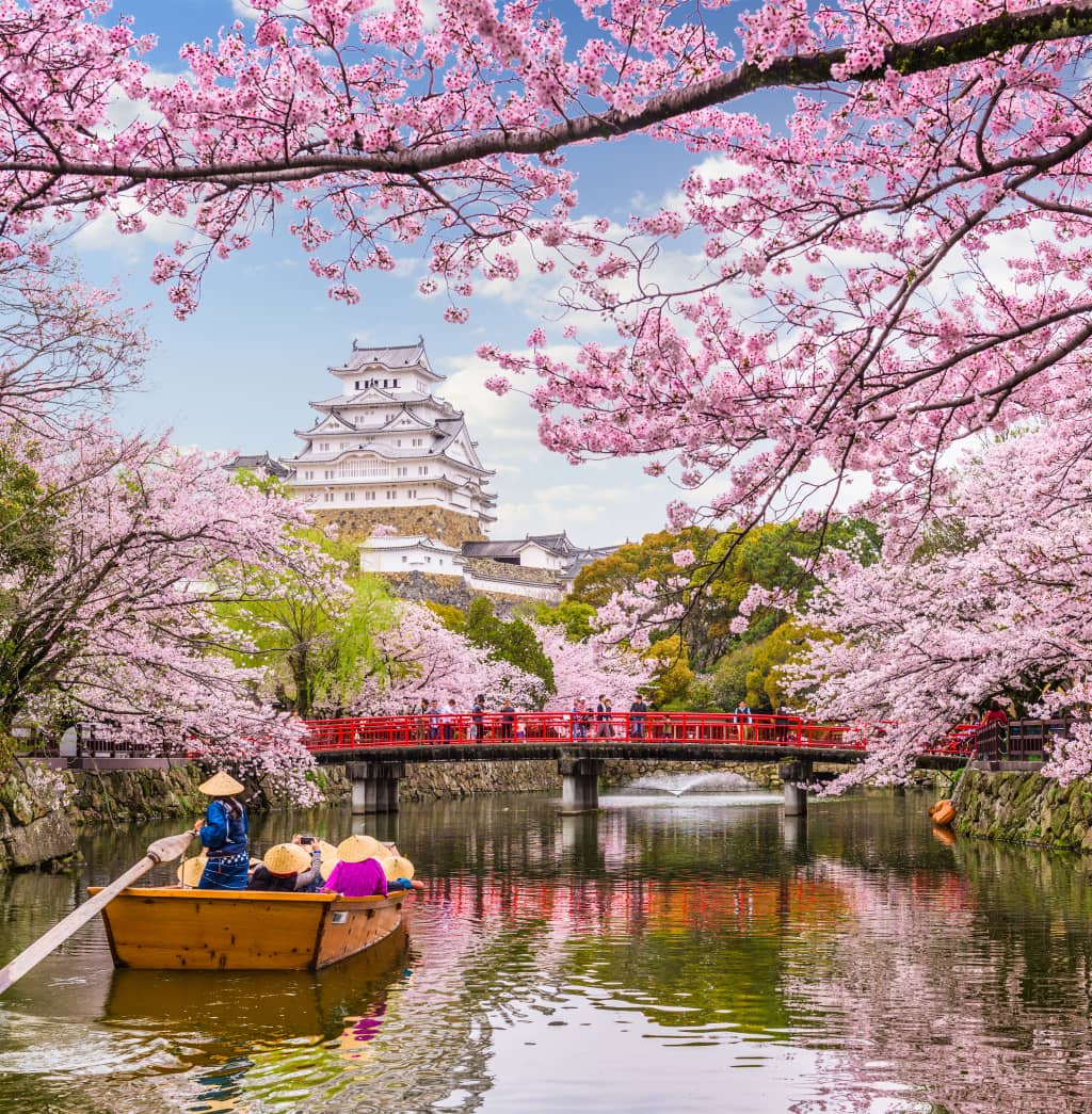 all inclusive tours to japan
