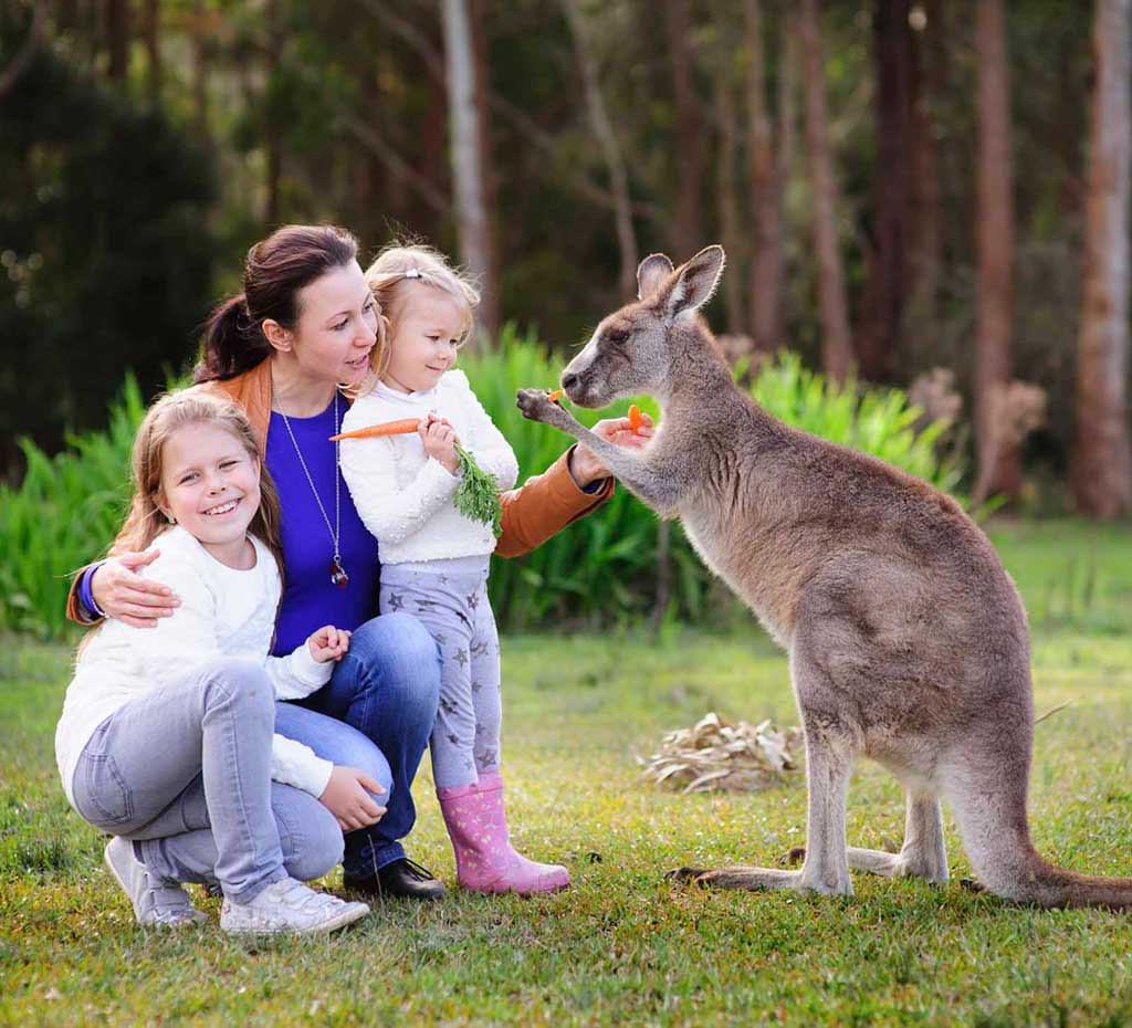 travel australia with family