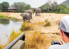 Teenage photographer on safari game drive in Kruger National Park, South Africa