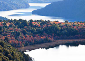 Patagonia during autumn in Argentina