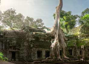 Sunrise over Ta Prohm at Angkor Wat in Siem Reap, Cambodia