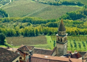 Medieval Motovun surrounded by vineyards in Croatia