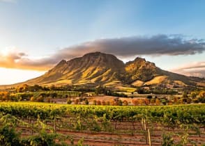 Wine region near Stellenbosch looking at Simonsberg in South Africa.