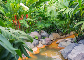 Relax in the natural hot springs of Arenal while inhaling the misty air of the region, Costa Rica