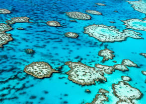 The Great Barrier Reef in Queensland, Australia