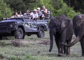 Game drive in MalaMala Game Reserve.  Photo courtesy of MalaMala Game Reserve