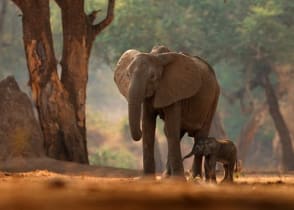 Mana Pools National Park, Zimbabwe