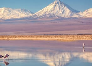 Pink flamingos in Chaxa Lagoon, Atacama, Chile