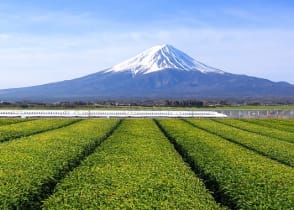 The Shinkansen (Bullet train) with Mt. Fuji in the background