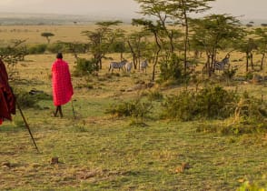 Immerse yourself in the beauty of the grassy shroud of the Masai Mara Game Reserve, Kenya