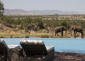 View of elephants from the pool at the Four Seasons Serengeti