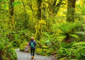 Woman walking on path through tall trees of Fiordland National Park in Te Anau, New Zealand