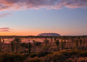 Field of Lights at Uluru