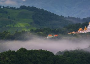 Supta in the northern mountain tea plantations of Chiang Rai, Thailand