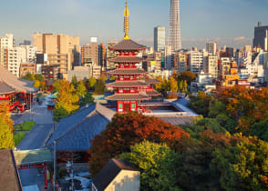 Heritage and modernity: Buddhist temples against the backdrop of a metropolis, Tokyo, Japan