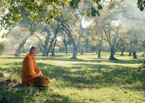 Monk meditating under a tree in Cambodia