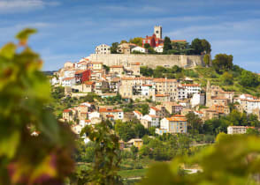 Vineyards surrounding hilltop village of Motovun, Croatia