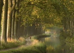 Morning at Canal du Midi in Toulouse, France