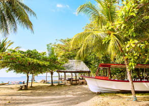 Ride a pleasure boat along Pacific beaches on this Costa Rica cruise.