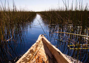 View of the Okavango Delta from a mokoro canoe, Botswana