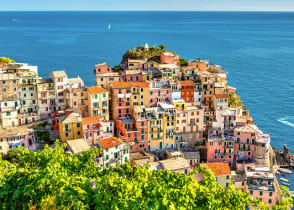 Terraced vineyards above Manarola in the Cinque Terre, Italy