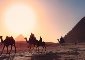 Camel caravan in Giza at sunset, Egypt