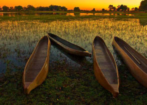 The Okavango Delta at sunset 