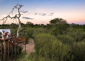 Honeymoon couple at Lion Sands Chalkley Treehouse, Sabi Sands, South Africa