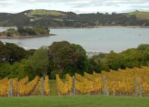 Lounge on the lush island of Waiheke as incredible art and cuisine complement the quiet beaches