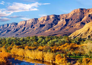 Lush oasis in the moroccan desert